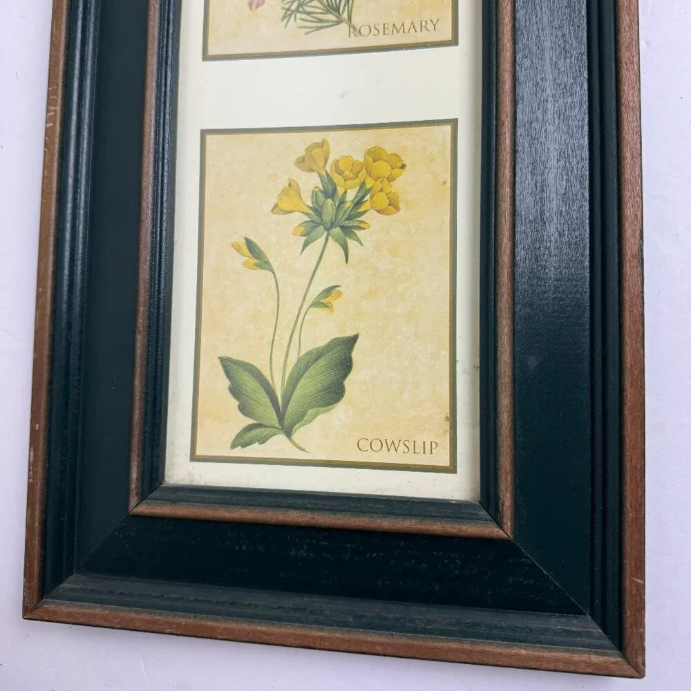 Vintage Country Style Picture Featuring Herbs Wall Decor Set of 2 Botanical ART